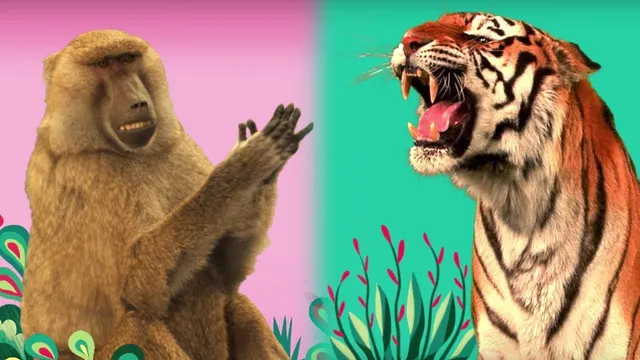 StoryBots Animal Songs